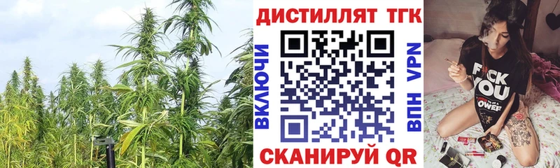 Дистиллят ТГК Wax закладка Петухово